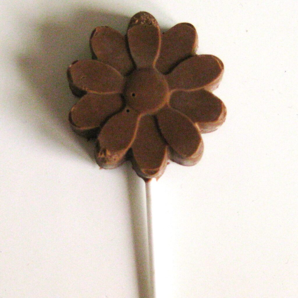 choco ijsje op een stokje